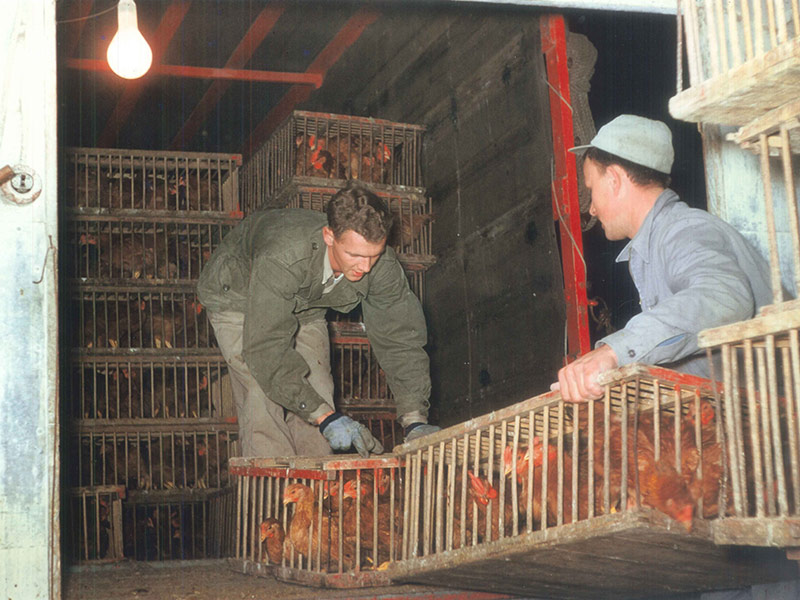 Two men loading a delivery truck in 1954