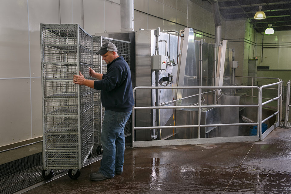 Carts on conveyer belt going through washing system