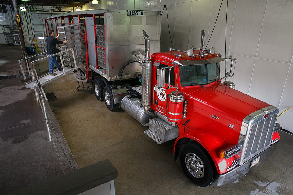 Man loading a cart into a transport truck