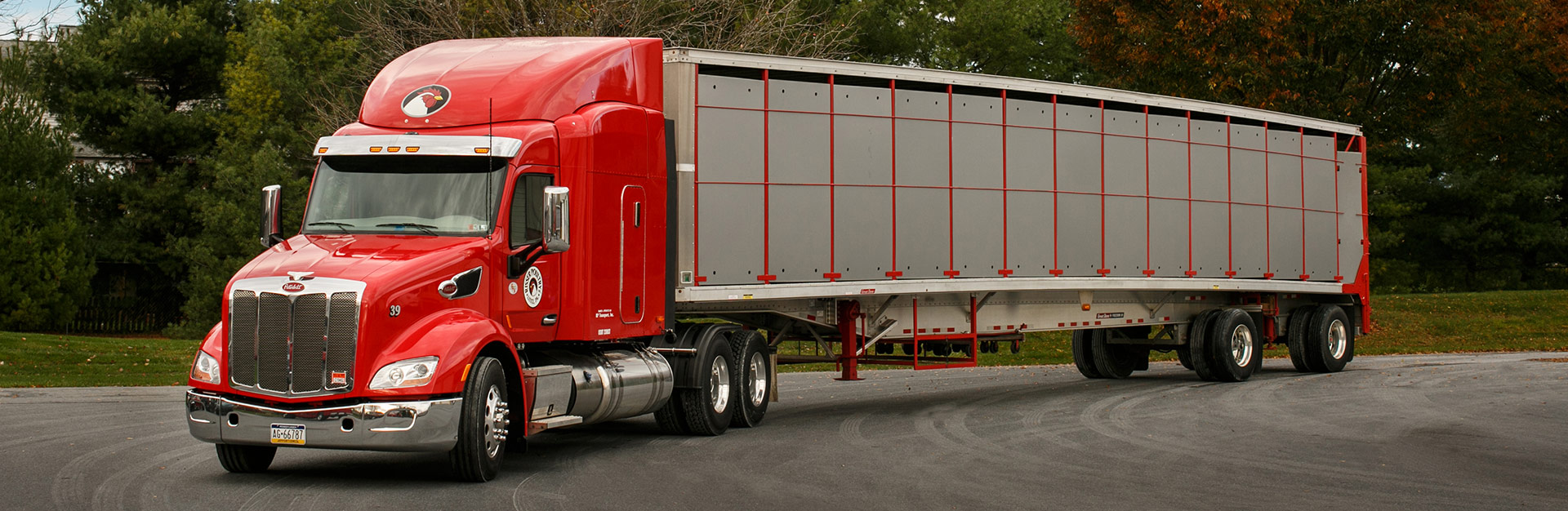 Single truck in parking lot